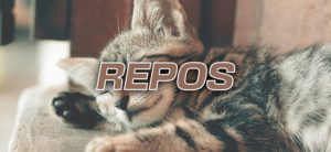 Repos